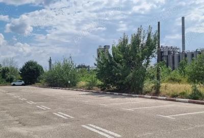 Teren de 21000 mp, în Bradu - 7