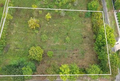 De vanzare Teren Intravilan Viile Satu Mare 2812MP/Dublu ... - 6