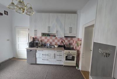 Apartament cu 2 camere circular, mobilat în Lazaret - 6