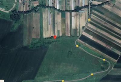 Teren extravilan, Loc. Strejesti, Jud. Olt - 2