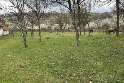 Spațiu comercial, în Boș - 3