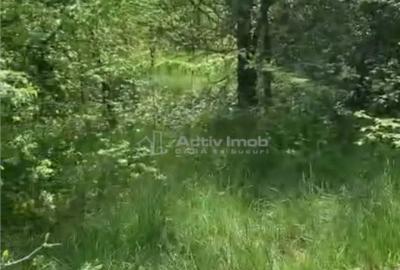 Teren în Găneasa - 3