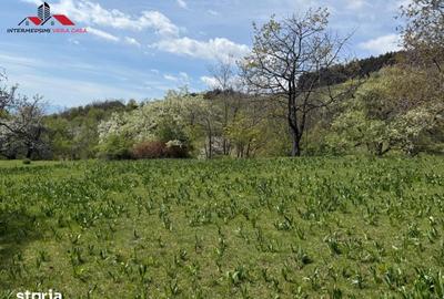 Teren de 8330 mp, în Vințu de Jos - 5