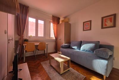 Garsonieră semidecomandată în P-ța Universității - 10