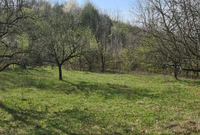 Spațiu comercial, în Șuici - 3