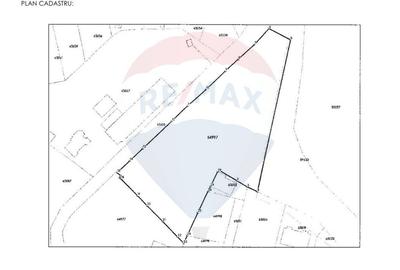 Teren Construcții intravilan de 6050 mp, în Dobroești - 10