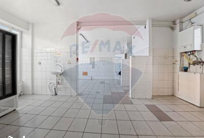 Spațiu comercial, de 207 mp, în Mioriței - 10