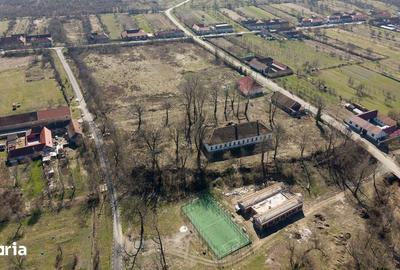 Casă cu 8 camere cu Teren 7235 Mp în Traian Vuia - 1