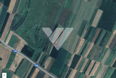 De Vanzare teren extravilan 800 mp - Poplaca - Sibiu - 1