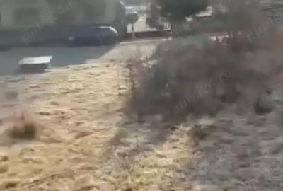 Teren de 2200 mp, în Criș - 1