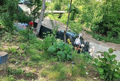 Teren de 800 mp, în Scorțeni - 3
