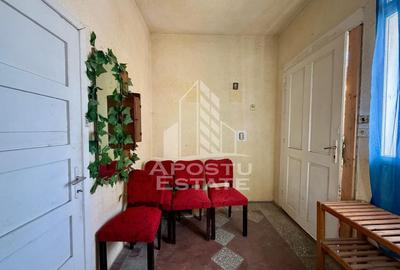 Casa cu garaj, teren 739mp, zona Modern - Lorena - Timisoara - 7