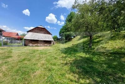Casă cu 5 camere cu Teren 10000 Mp în Central - 16