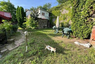 Vila deosebita, 2 corpuri P+M si P+1E, Margineni-Bacau - 16