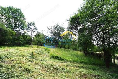 Teren intravilan de vanzare Valea Doftanei, Prahova - 6