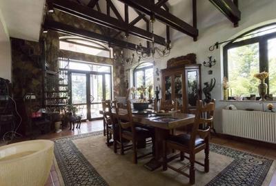 Casa individuală de vânzare Snagov - 6