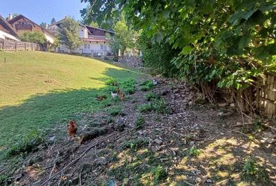 Teren în Poiana Țapului - 3