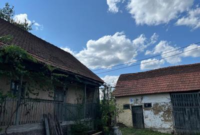 Casa la ?ara, zona pitoreasca, Patar? - 4