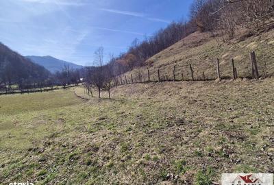 Casă cu 1 camere cu Teren 55 Mp în Fărău - 4