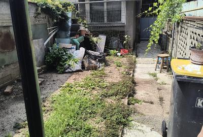 Vila zona Moșilor - 8