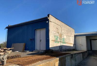 Spațiu comercial, de 500 mp, în Buziaș - 12