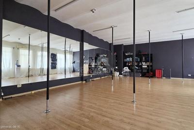 Vanzare imobil Calea Mosilor Eminescu 1148 mp venit anual 67.000 euro - 5