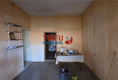 Casă cu 4 camere cu Teren 5000 Mp în Cricău - 8