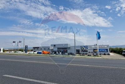 Teren Construcții intravilan de 4874 mp, în Nord - 6