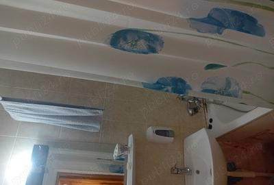 Drumul Taberei - Metrou - Renovat - Zona verde - 10