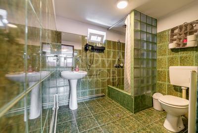 Casa + Pensiune deosebita - Orlat, Sibiu - 41