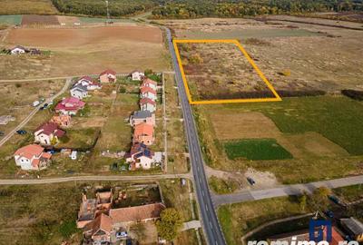 Teren de 19000 mp, în Pișchia - 3