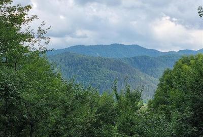 Apartament cu 3 camere decomandat, mobilat în Drumul Poienii - 20