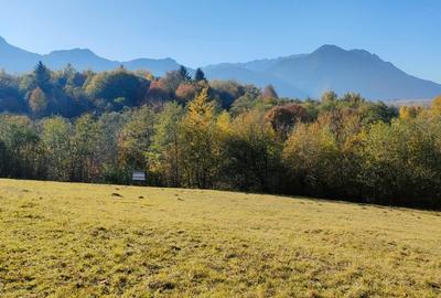 Teren în Central - 6