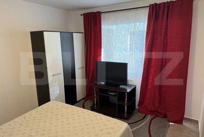 Apartament 2 Camere de Inchiriat | POd Rosu  | Renovat  | - 4
