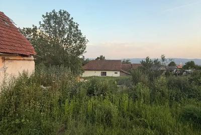 Casă cu 2 camere în Buteni - 4