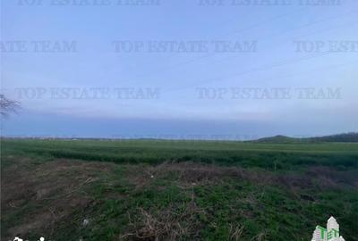 Teren de 15000 mp, în Central - 2