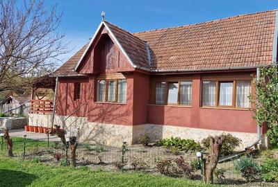 Casă cu 2 camere cu Teren 2700 Mp în Măhăceni - 2