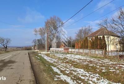 Teren de 5000 mp, în Central - 2