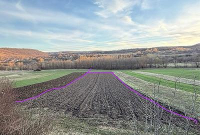 Teren de 2692 mp, în Nandru - 1