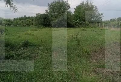 Casă cu Teren 1724 Mp în Brăești - 2