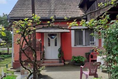 Borlesti, casa , 45 ari teren - 2