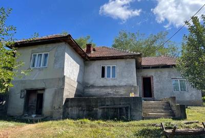 Casă cu 4 camere cu Teren 6765 Mp în Pușcașu