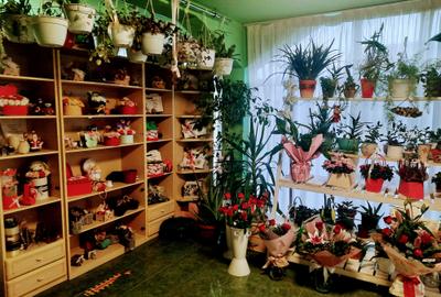 🏡 Casă de vânzare în Cristur – Str. Ulița Mare nr. 43 - 6