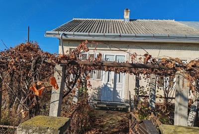 Casă cu 2 camere cu Teren 810 Mp în Leorda - 4
