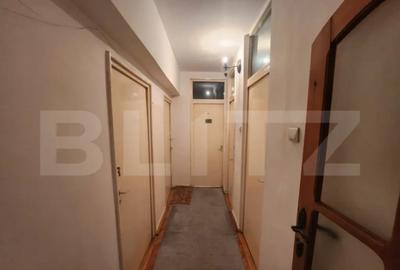 Apartament cu 2 camere decomandat în Cetate - 6