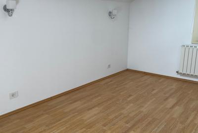 Iancu Nicolae vila 5 dormitoare gradina matura - 18