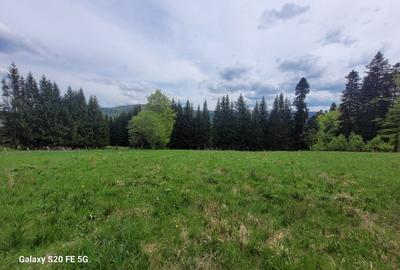 Teren intravilan de vanzare in Busteni - 2
