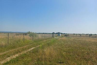 Teren intravilan de vanzare cu fantana si curent electric pe teren - 4