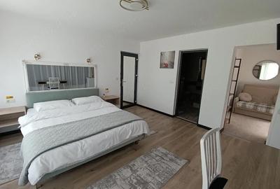 Casă cu 9 camere cu Teren 8000 Mp în Bârsana - 9
