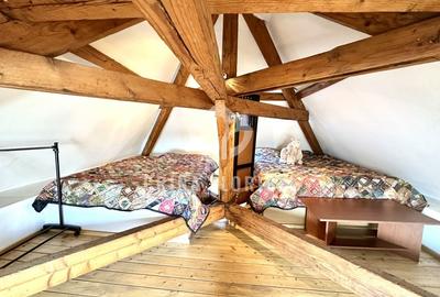 Apartament cu 3 camere semidecomandat, mobilat în Parcul Carol - 15